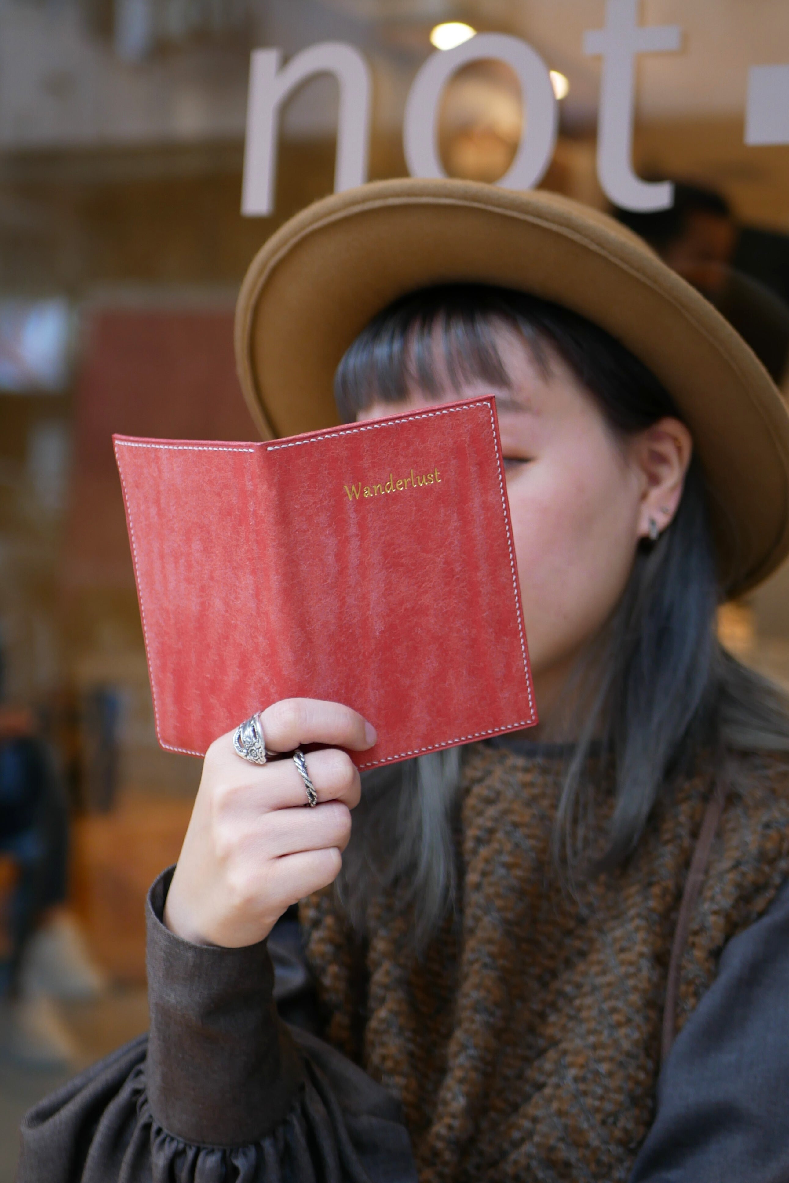 Wanderlust Passport Case